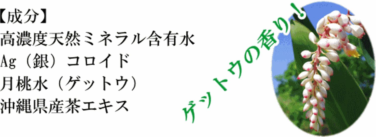 害虫対策｜室内用「不快な害虫ノンノン」スプレータイプ 500ml：制虫・消臭に画像