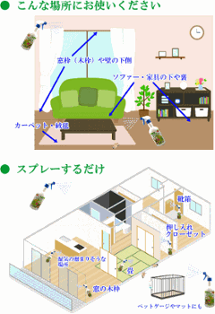 【お得】室内用「不快な害虫ノンノン」スターターセット（スプレー、詰替えパック各1本）画像