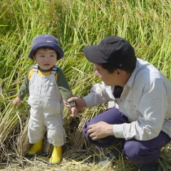 吟醸　秘蔵酒　1800㎖画像