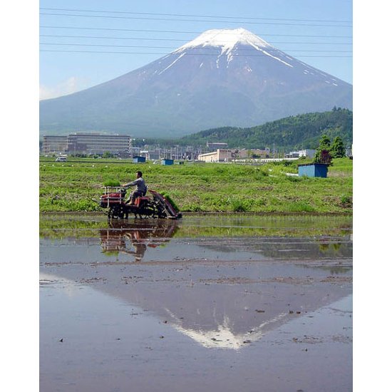 吟醸　河口湖ラベル　720㎖画像