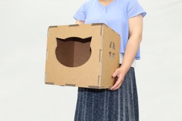 ねこもふBOX画像