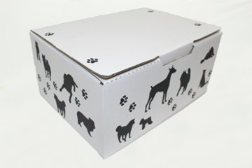 わんBOX（60サイズ）画像