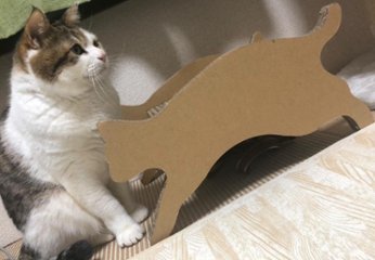 ねこもふ爪とぎ（さんぽ）画像