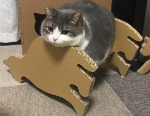 ねこもふ爪とぎ（おすわり）の画像