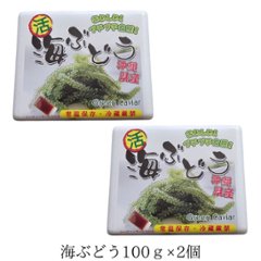 海ぶどう 100g×2個セット みやぎ商店 沖縄 生海ぶどう 通販　送料無料の画像