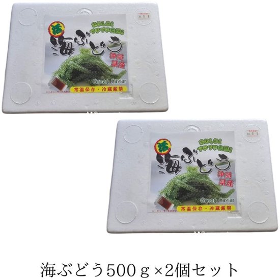 業務用 海ぶどう 500g×2個セット みやぎ商店 沖縄 生海ぶどう 通販 送料無料画像