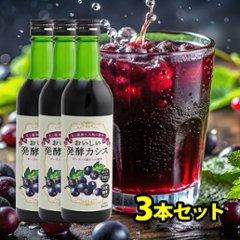 おいしい発酵カシス 3本セット(1本340ml)の画像