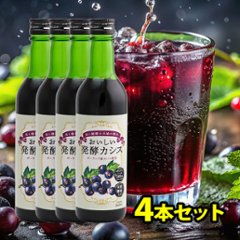 おいしい発酵カシス 4本セット(1本340ml)の画像