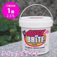 クイックブライト 1個単品の画像