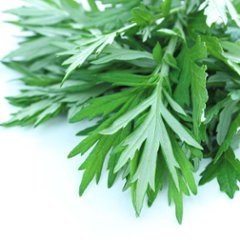 【国産よもぎ入浴剤 5包セット】月夜の巡り湯 よもぎバスハーブ　よもぎ蒸し気分の画像