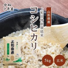 【令和7年産新米】コシヒカリ玄米5kg（減農薬特別栽培米）の画像