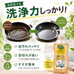 【単品】レディケア 食器用洗剤 本体 1000ml画像