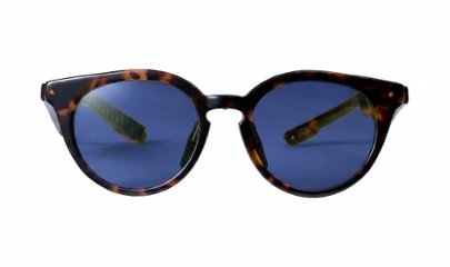 【5月下旬より順次発送】[GLASSHORN] Sunglasses Cats画像