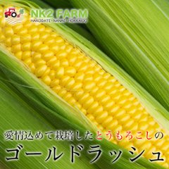 朝採りとうもろこし ゴールドラッシュ 送料無料 10本（1本約350g~450g）の画像