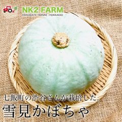 北海道七飯町産かぼちゃ「雪見かぼちゃ」4玉（1玉約1.5kg） 送料無料の画像