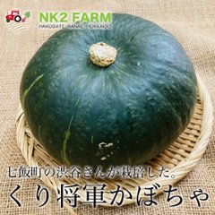 北海道七飯町産かぼちゃ「くり将軍」4玉（1玉約1.6kg） 送料無料の画像