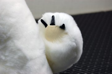レッキス　ドール（ポーラーベア）画像