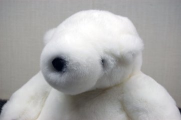 レッキス　ドール（ポーラーベア）画像