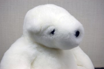 レッキス　ドール（ポーラーベア）画像