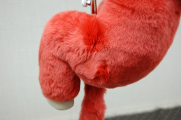 レッキス　ドール（モンキー）画像