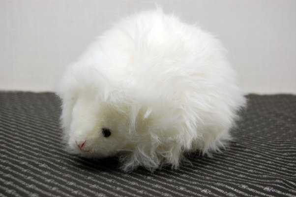 ムートン　ドール（ヘッジホッグ）の画像