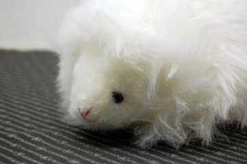 ムートン　ドール（ヘッジホッグ）画像