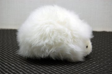 ムートン　ドール（ヘッジホッグ）画像