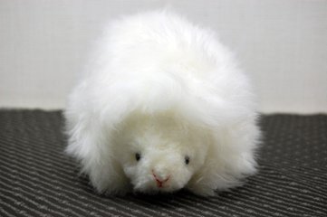 ムートン　ドール（ヘッジホッグ）画像