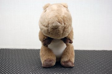羊毛　ドール（カピバラ）画像