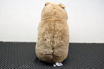 羊毛　ドール（カピバラ）画像