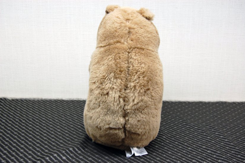 羊毛　ドール（カピバラ）画像