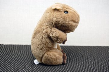 羊毛　ドール（カピバラ）画像