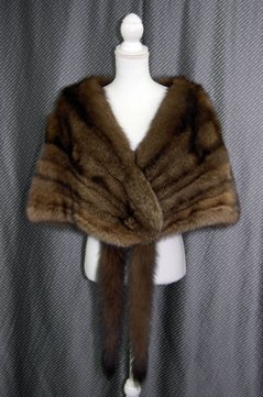 フィッシャー　ケープの画像