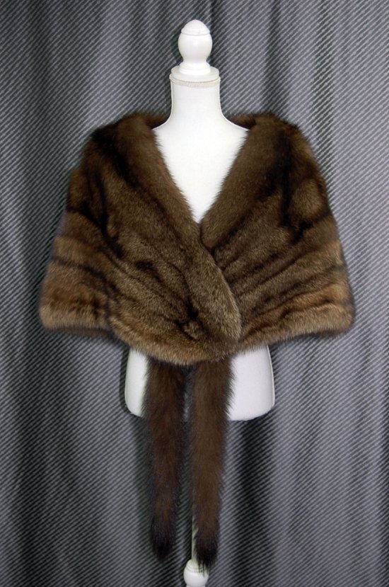 フィッシャー　ケープ画像