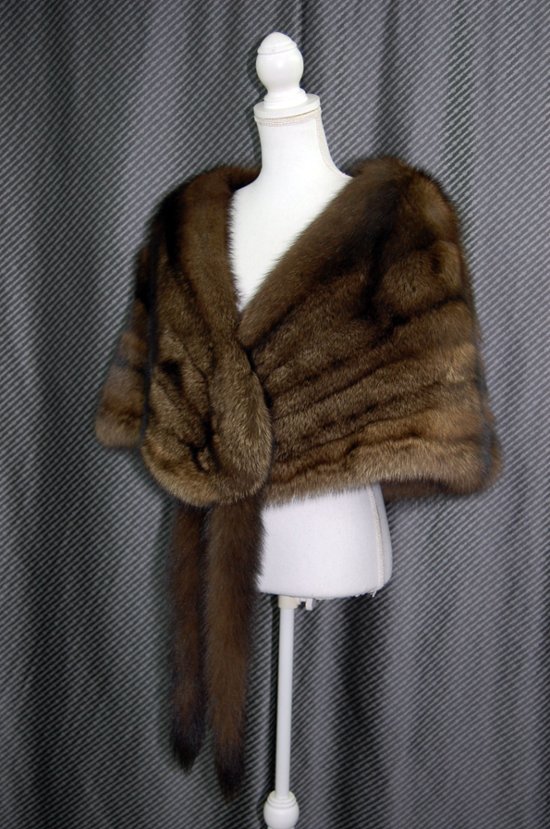 フィッシャー　ケープ画像