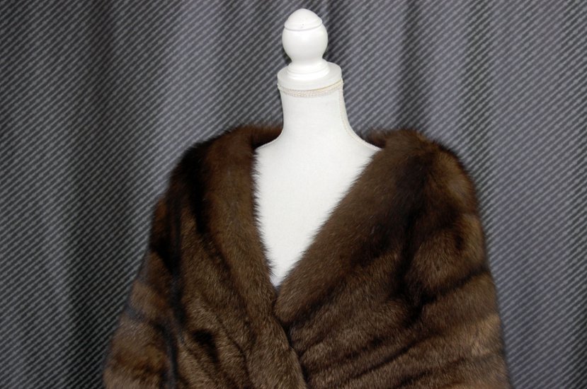 フィッシャー　ケープ画像