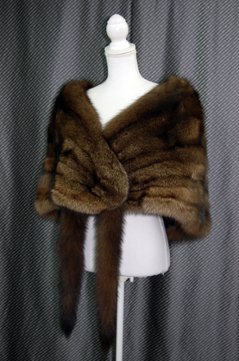 フィッシャー　ケープ画像