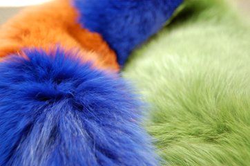 フォックス　ロングストール画像