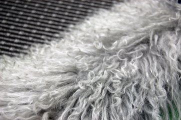 フォックス＆チベットラム　ロングマフラー画像