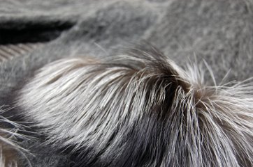 ウール＆モヘヤ混　ロングマフラー　シルバーフォックストリム画像