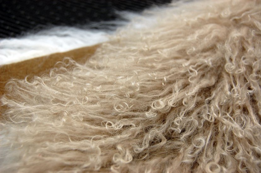 チベットラム　マフラー画像