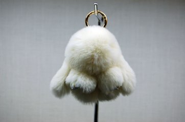 レッキス　チャーム（ミニロップ）の画像