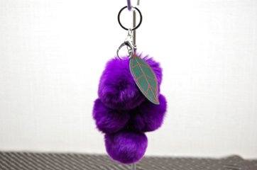 レッキス　チャーム（グレープ）の画像