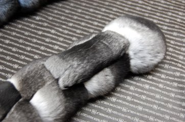 チンチラ　ダブルフェイスマフラー画像