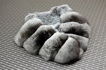 チンチラ　カラー画像