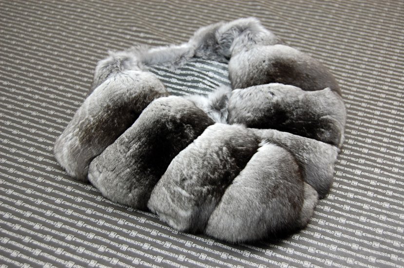 チンチラ　カラー画像