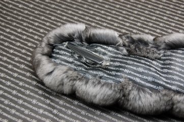 チンチラ　カラー画像
