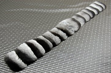 チンチラ　マフラー画像