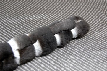 ブラックパールチンチラ　ダブルフェイスマフラー画像