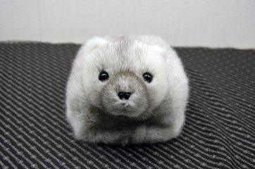 クロスミンク　ベアフェイスティッシュボックスカバー画像